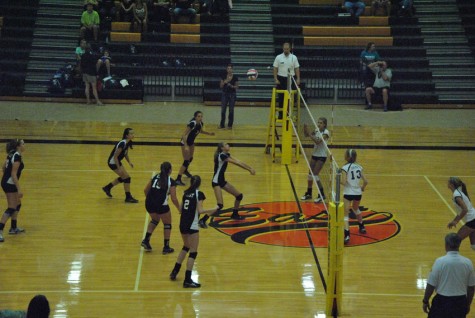 Lady Panthers on Prowl for Victory