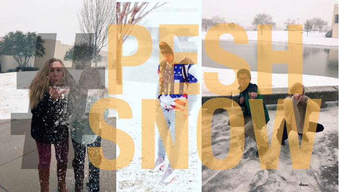 #PESHSnow Photo Gallery | February 2015