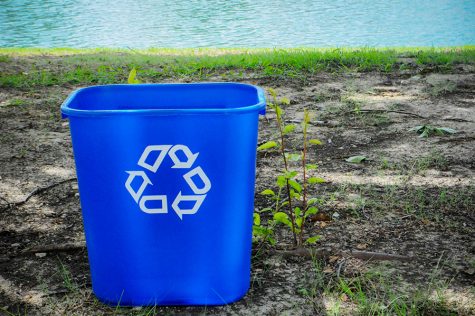 Reduce, Reuse, (Don’t) Recycle