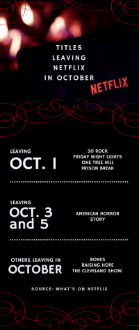Several Titles Leaving Netflix As Contracts End