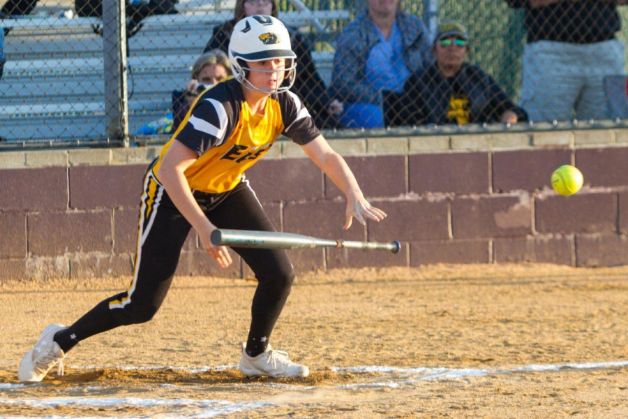 Junior Ronni Ramos bunts the ball against Plano as they were defeated 11-4 on April 20, 2018.