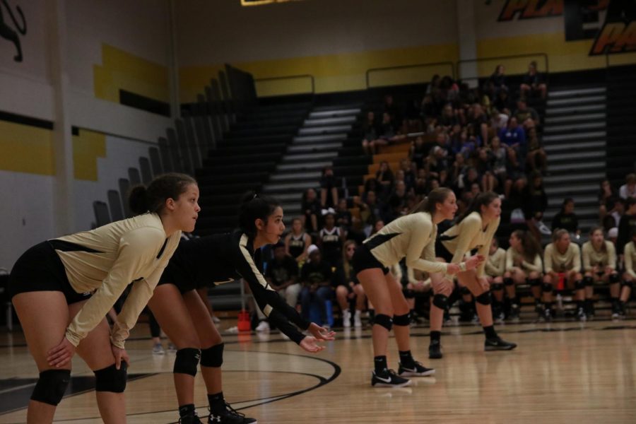 Junior Jasmine Reiter sits ready for the serve against Plano Senior High School on Sept. 15.