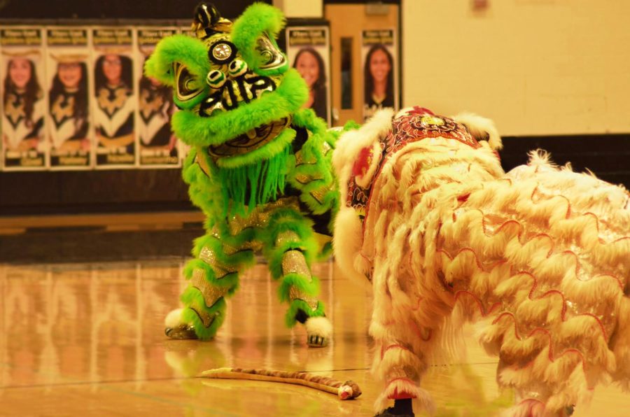 Lion dancers battling a snake during their performance on Jan. 27. The snake is a popular choice to play as an obstacle in blocking good fortune. The routine, also known as Snake Cheng, consists of the lions acting out combat-like movements until the enemy is dead.