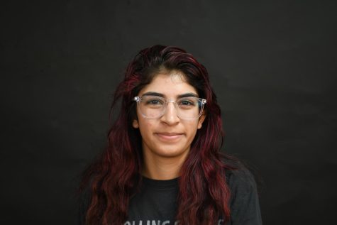 Photo of Aveesa Bhayani