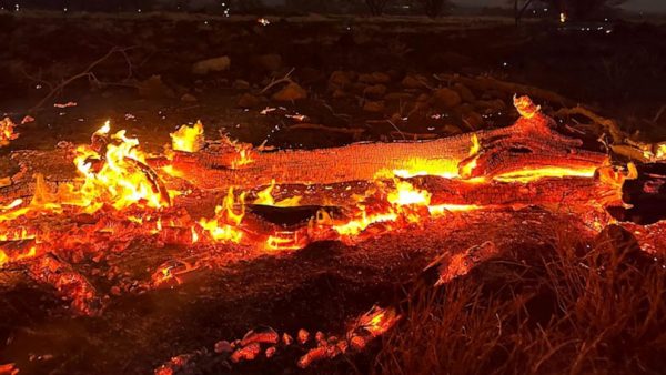 Sparks Fly in Maui